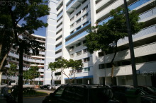 Blk 540 Bukit Batok Street 52 (Bukit Batok), HDB 3 Rooms #333062